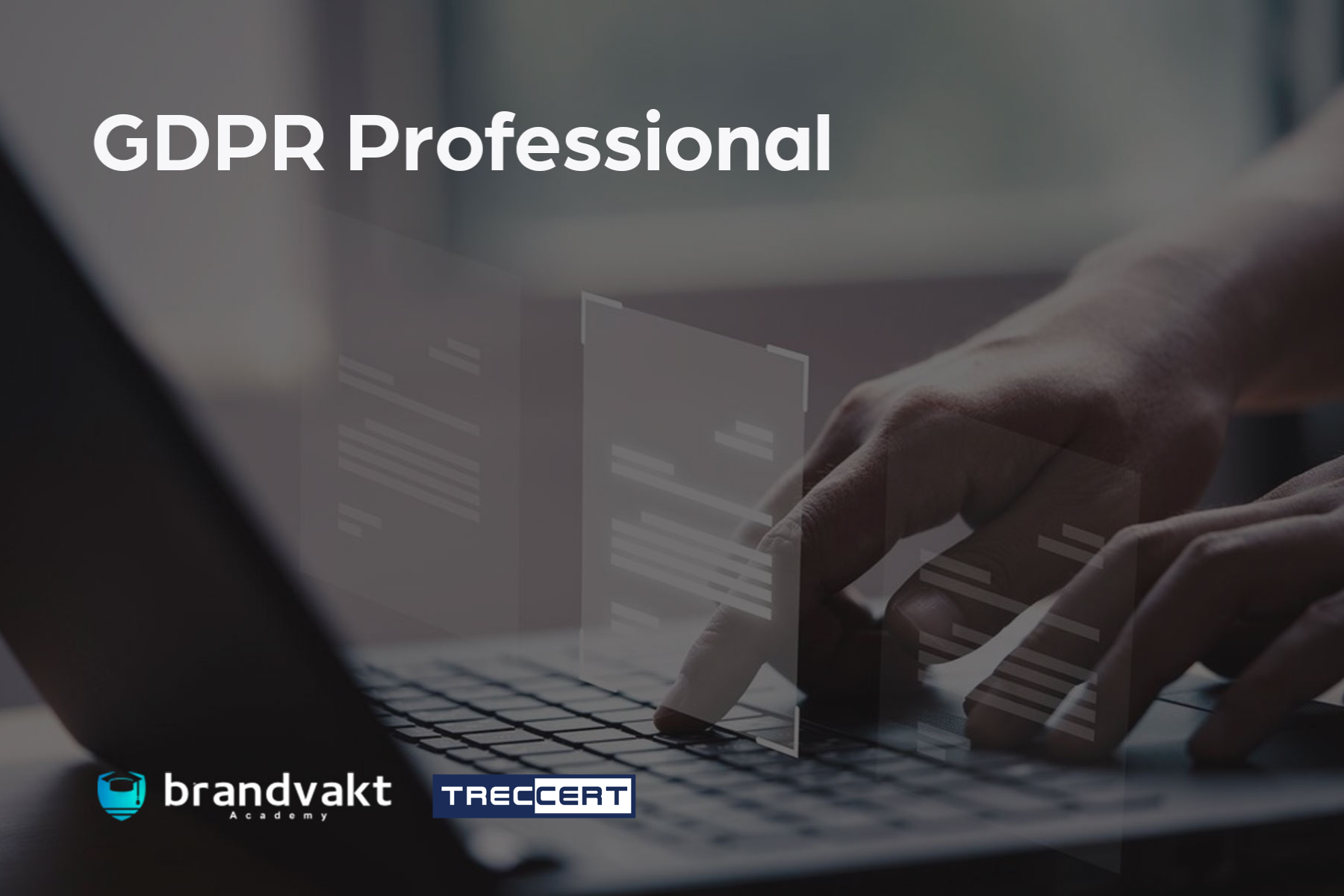 GDPR Professional